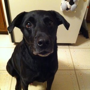 Meet your Posher, Yumiko